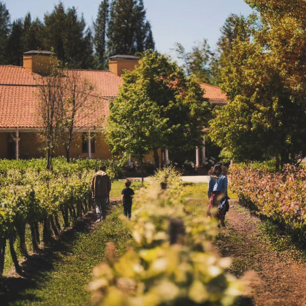 Full Day en La Playa Hotel & Winery