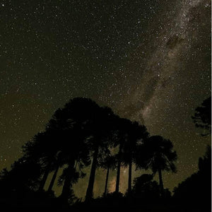 Tour Etnoastronómico