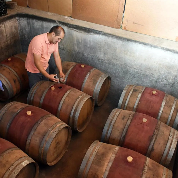 Full Day en Valle del Itata