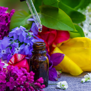 Terapia Floral de Bach