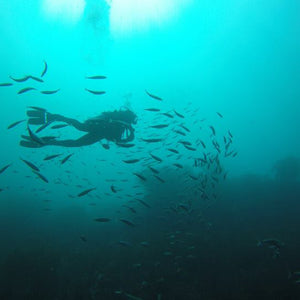 Buceo