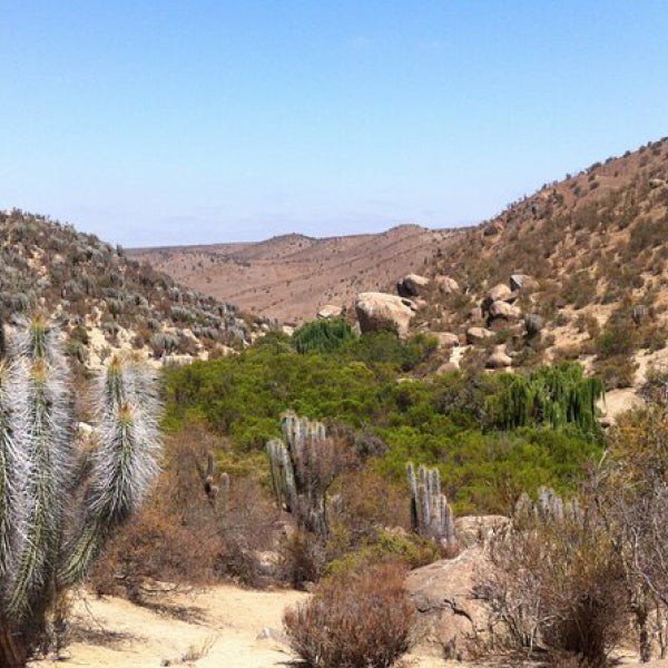 Tour Valle del Encanto