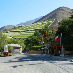 Excursión Valle del Elqui
