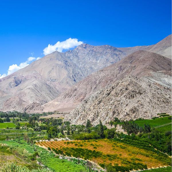 Excursión Valle del Elqui - E-Box