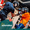 Box Training