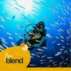 Buceo