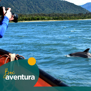 Tour a humedal Río Cisnes